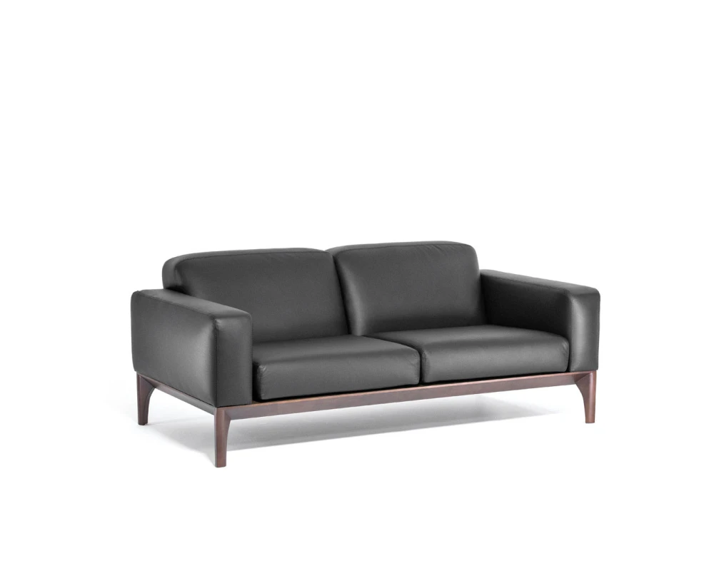 Диван 2-х местный Fiotto Кожа/Экокожа, Черный