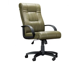 Кресло руководителя Дали DB-700M пластик images