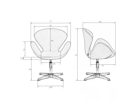 Кресло дизайнерское Swan images