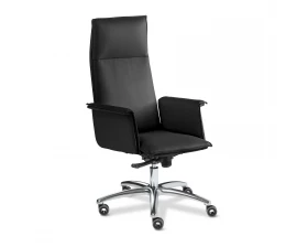 Кресло Epsilon Luxe A chrome images