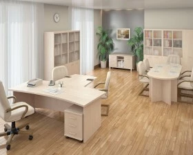 Кабинет руководителя First images