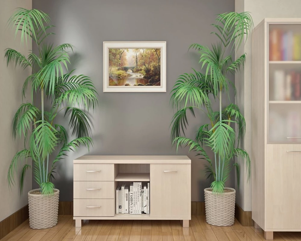 Кабинет руководителя First