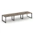 Вяз благородный/Черный