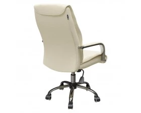 Кресло для руководителя AL 750 images