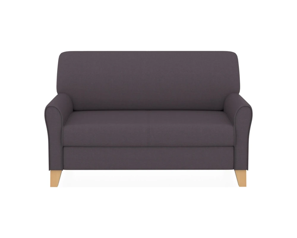 2-х местный диван Европа Вуд