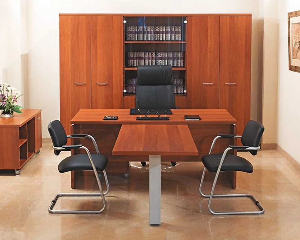 Кабинет руководителя Патриот